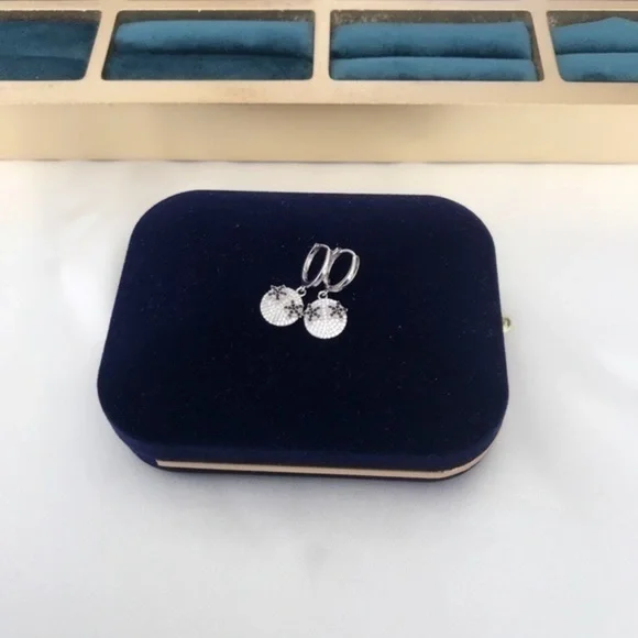 Sterling Silver Hoop Earrings